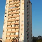 Near Center Daire *
